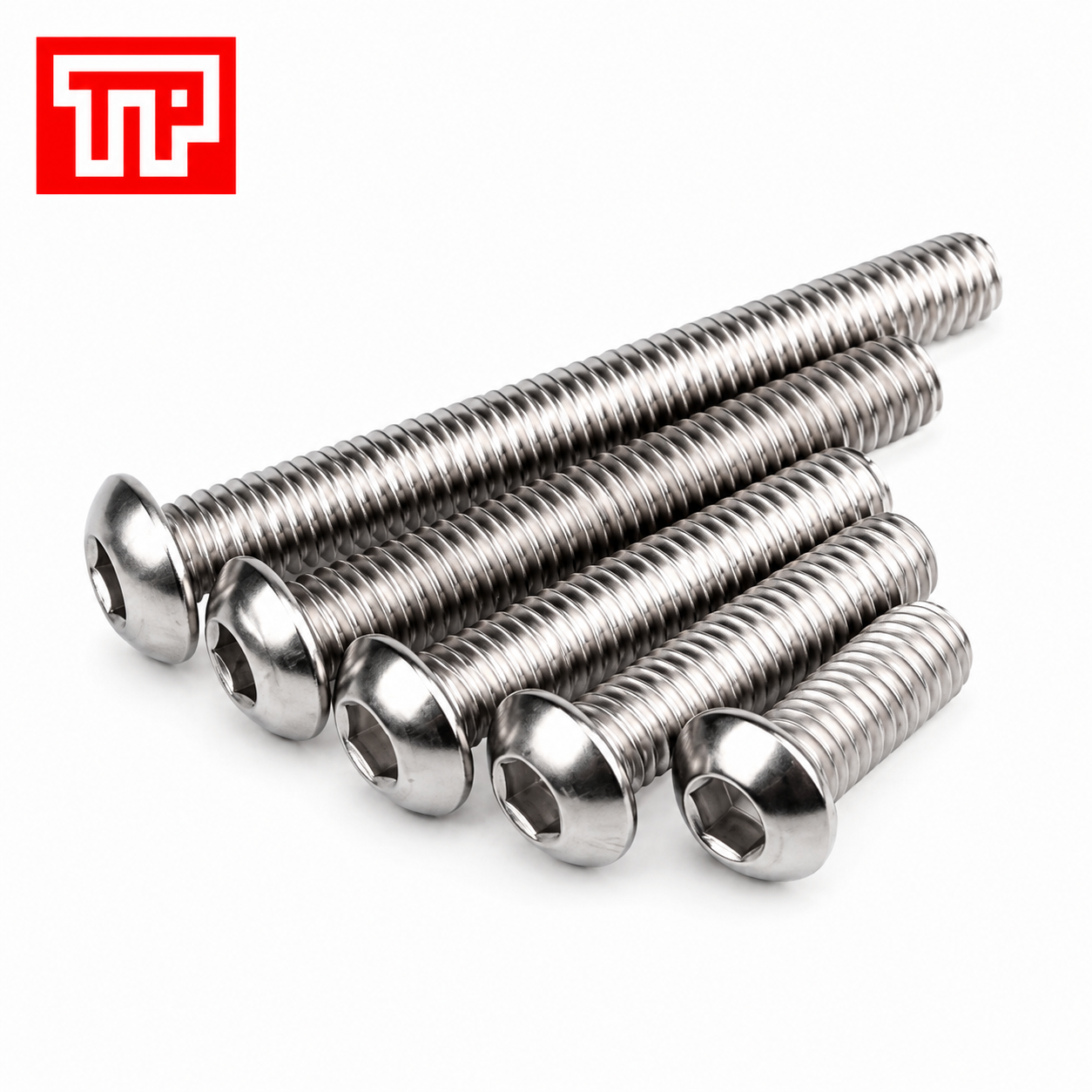 Bu lông lục giác chìm đầu cầu Inox 304
